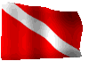 flaga nurkowa