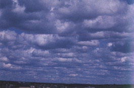 Altocumulus