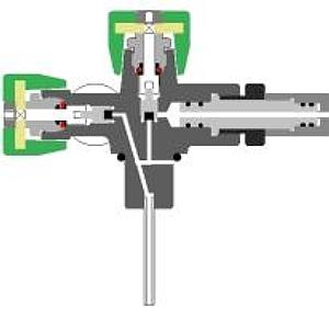 manifold Lola