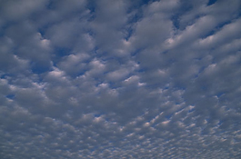 Cirrocumulus