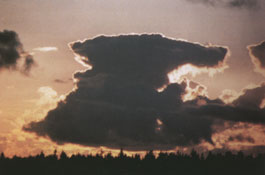 Cumulonimbus