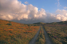 Cumulus