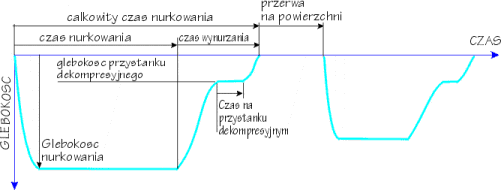 profil nurkowania