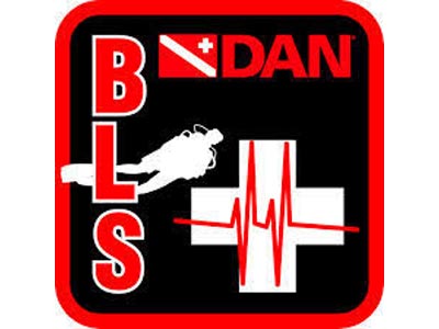 kurs DAN BLS