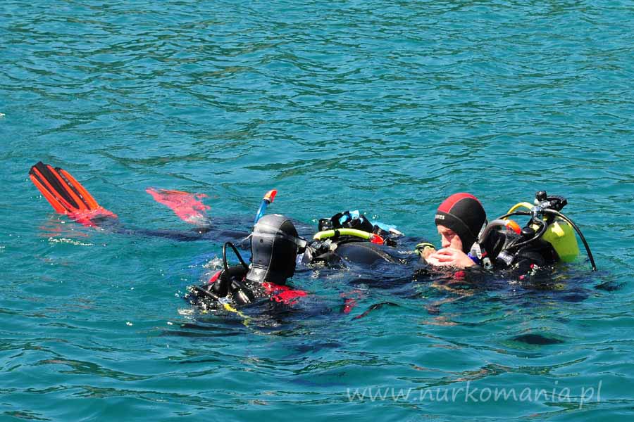 kurs ratowniczy rescue padi