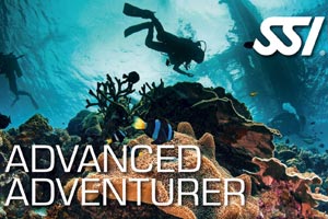>Advanced Adventurer