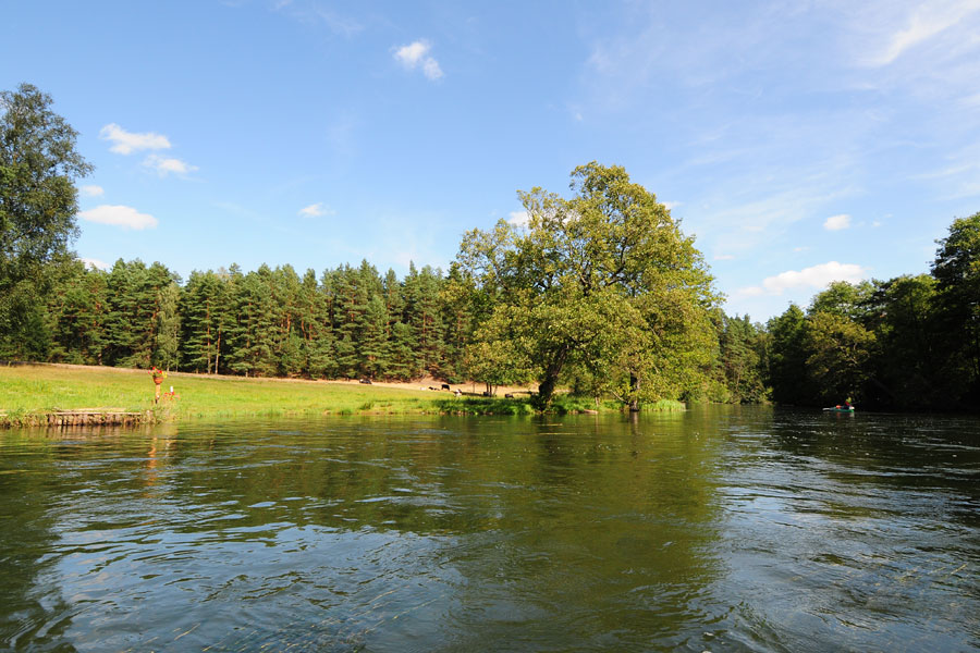 Brda spływ kajakowy